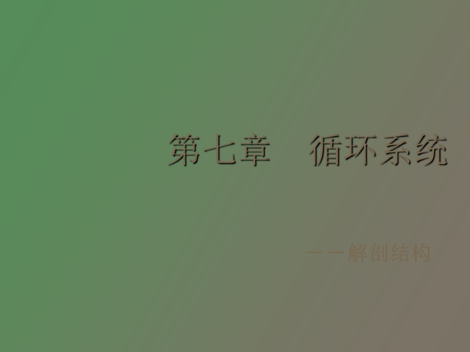 循环系统解剖.ppt_第1页