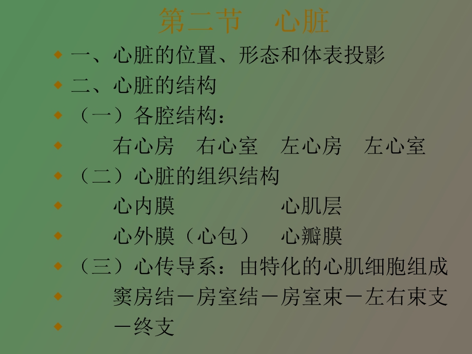 循环系统解剖.ppt_第3页