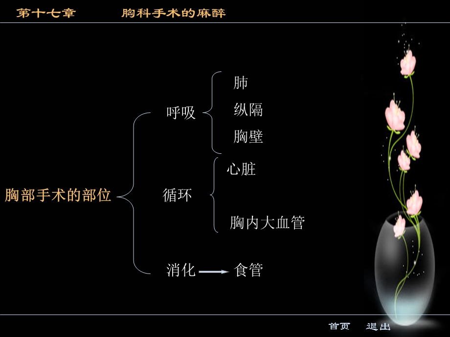 胸科手术麻醉.ppt_第2页