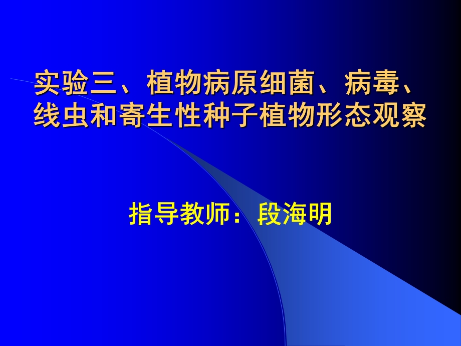 植物病原细菌、病毒、线虫和寄生性种子植物形态观察.ppt_第2页