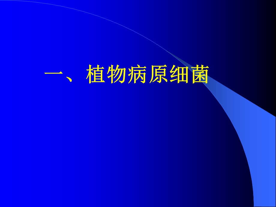 植物病原细菌、病毒、线虫和寄生性种子植物形态观察.ppt_第3页