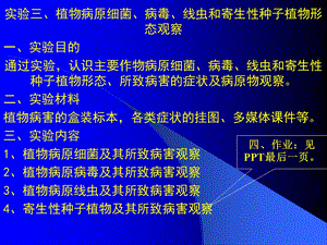 植物病原细菌、病毒、线虫和寄生性种子植物形态观察.ppt