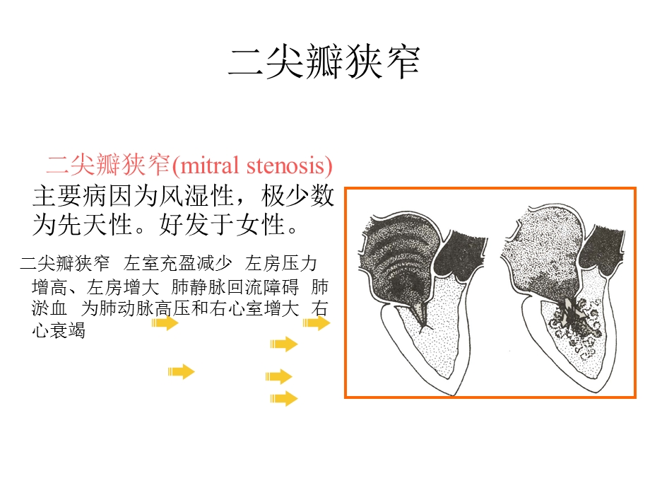 循环系统常见疾病的主要症状和体征.ppt_第2页