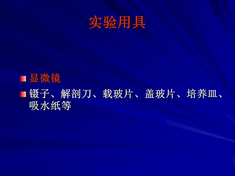 植物学实验5茎的形态与结构以及根茎叶的变态.ppt_第3页