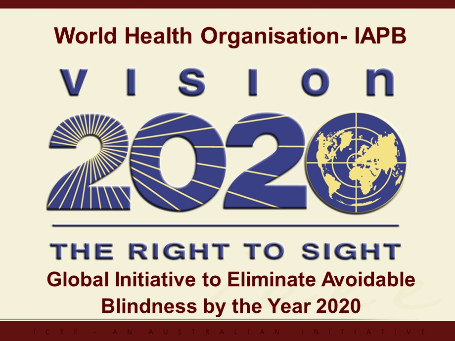 VISION 2020视觉.ppt_第2页