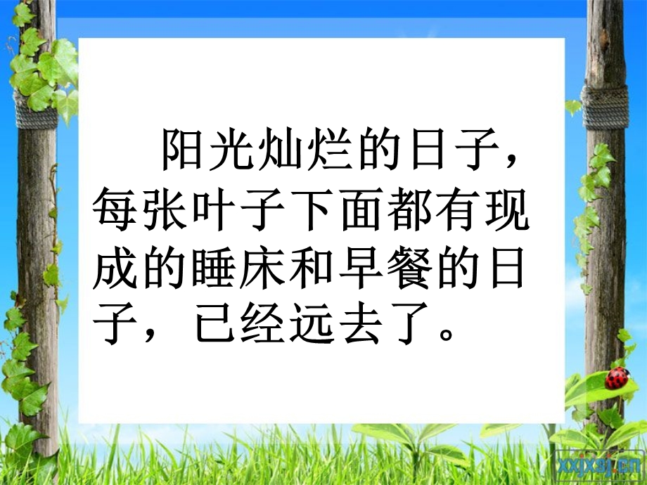 蜻蜓和蚂蚁.ppt_第2页