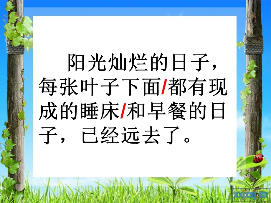 蜻蜓和蚂蚁.ppt_第3页