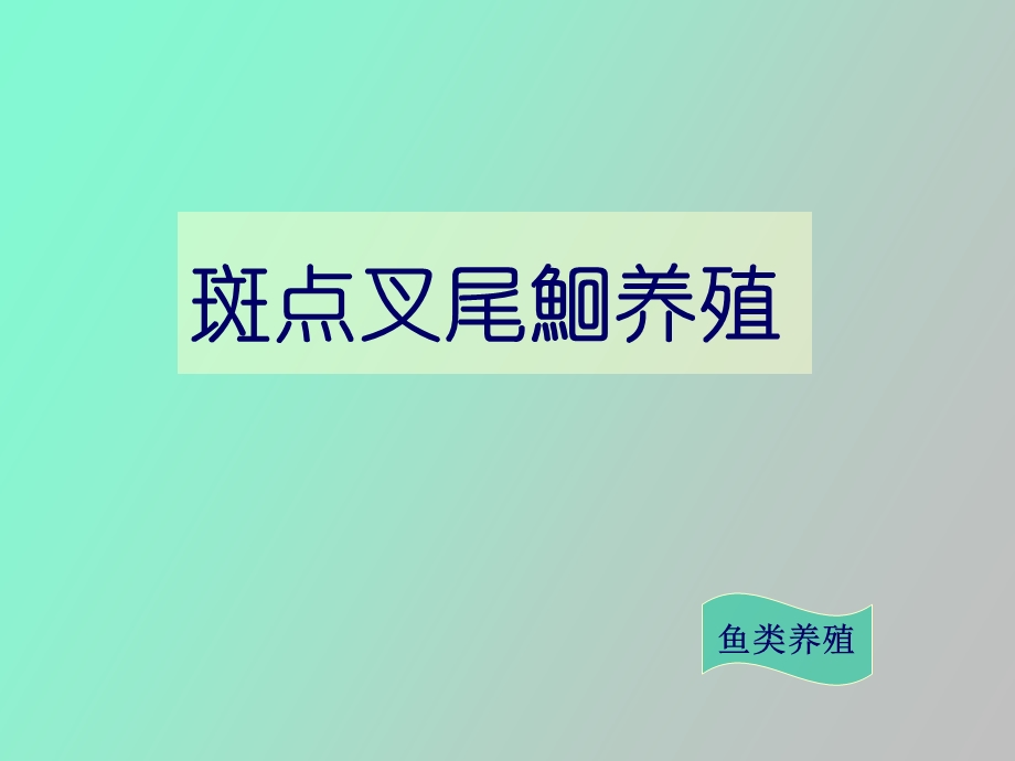 斑点叉尾鮰养殖.ppt_第1页