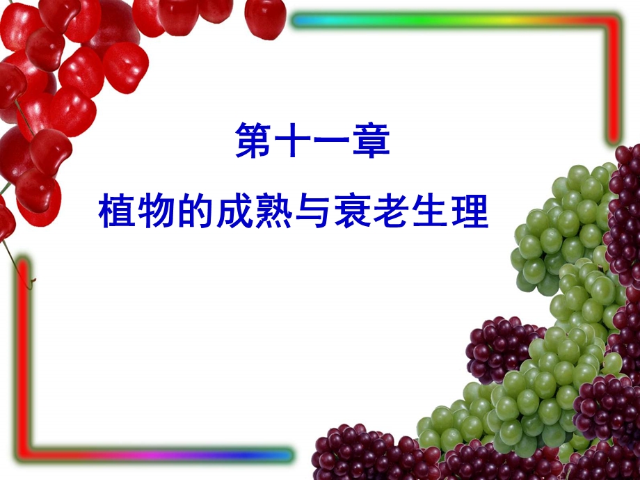 植物的成熟与衰老生.ppt_第1页