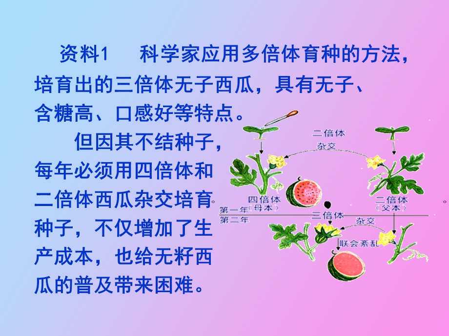 植物细胞工程的实际应好用.ppt_第3页