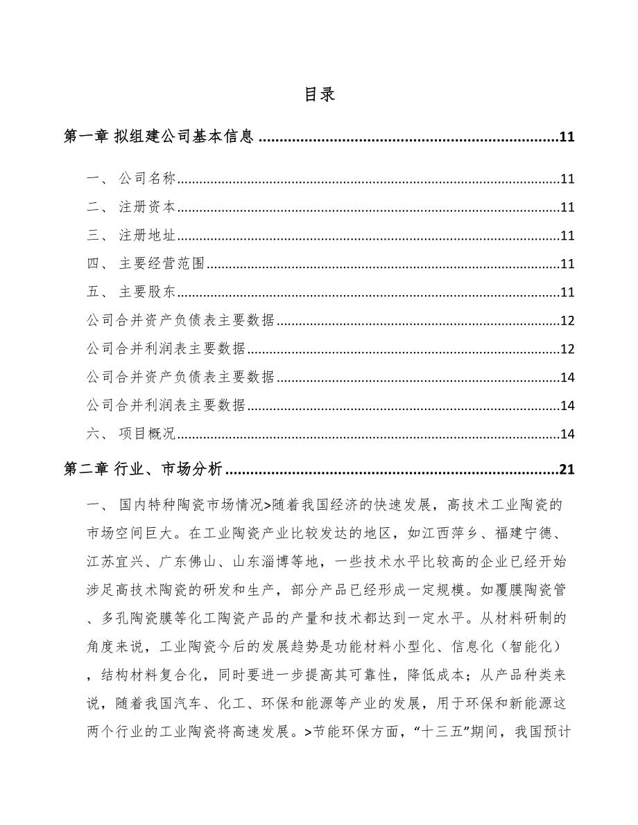 咸阳关于成立特种陶瓷制品公司可行性研究报告.docx_第2页