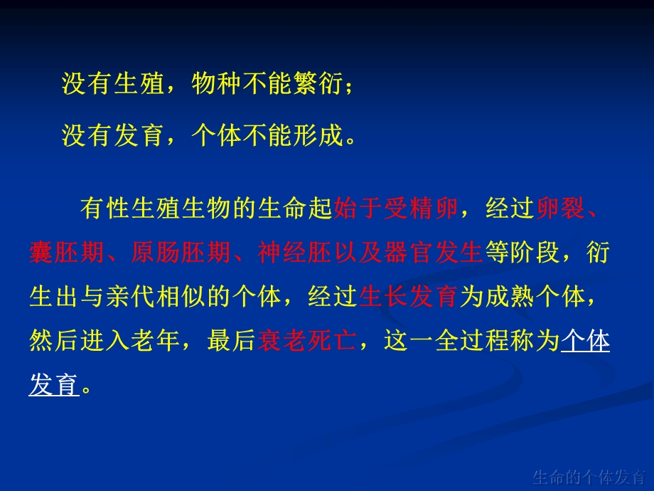 生命的个体发育(修订).ppt_第2页