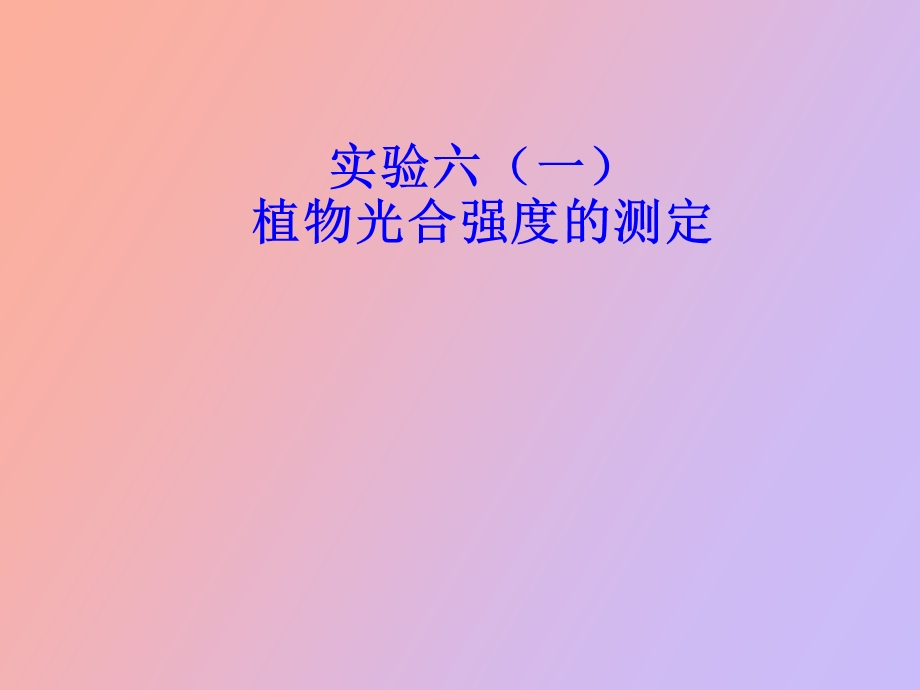 植物光合强度的测定.ppt_第1页