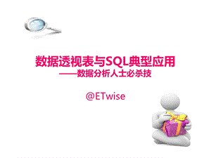 数据透视表与SQL典型应用.ppt