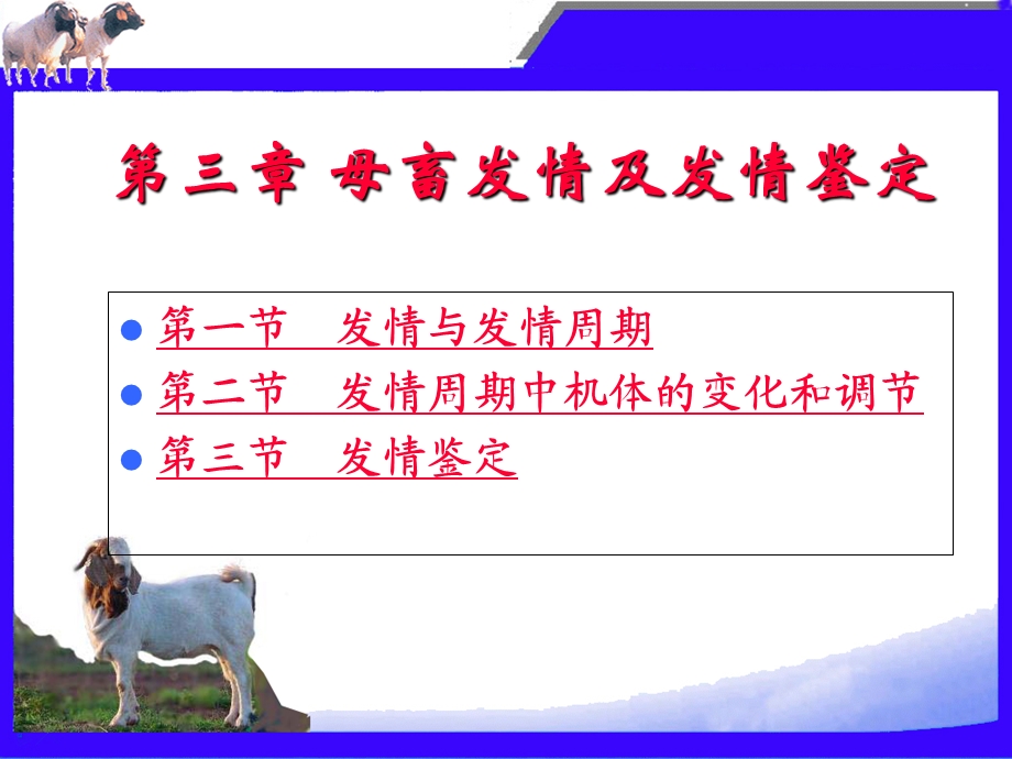 母畜的发情及发情鉴定.ppt_第2页