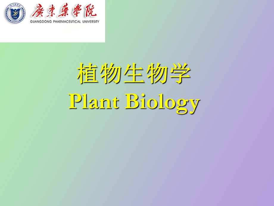 植物的生长发育物质代谢.ppt_第1页