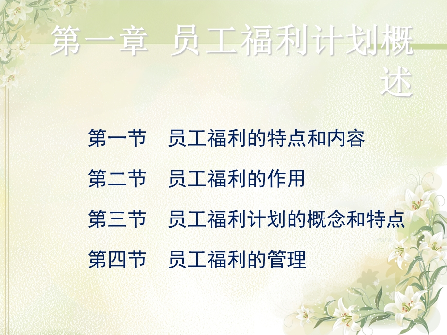 员工福利计划概述.ppt_第1页