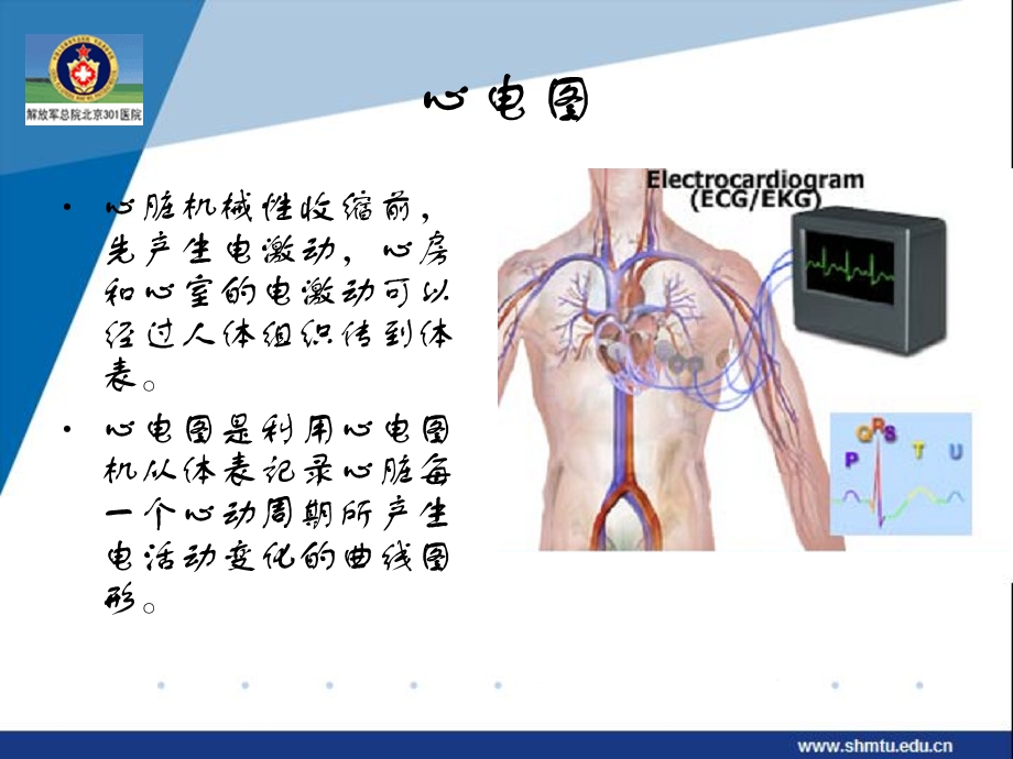 心电图基本概念及各波意义.ppt_第2页