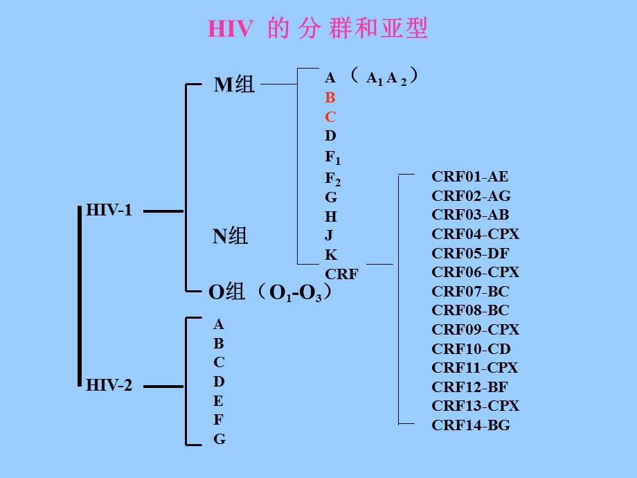 艾滋病及HIV的检测.ppt_第3页