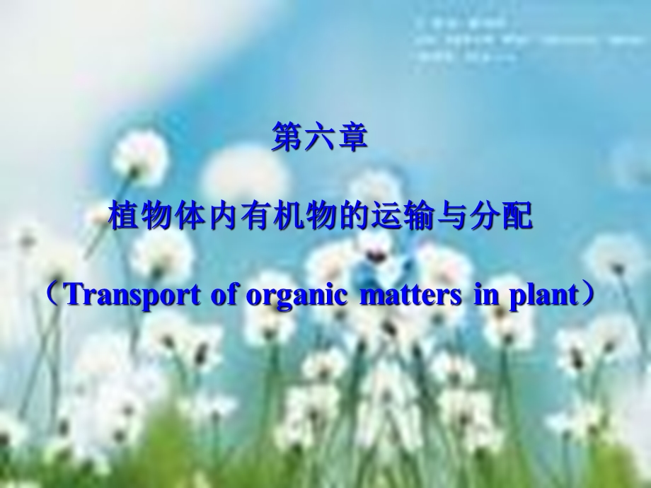 植物生理学第六章植物体内有机物运输.ppt_第1页