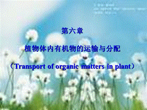 植物生理学第六章植物体内有机物运输.ppt