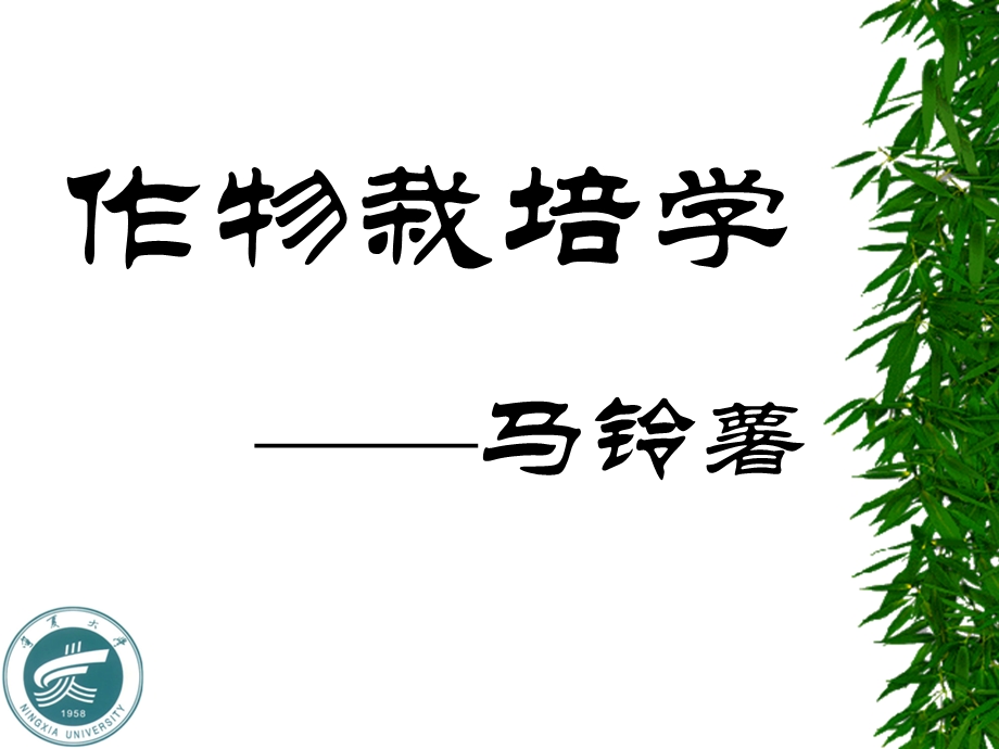 作物栽培学马铃薯.ppt_第1页