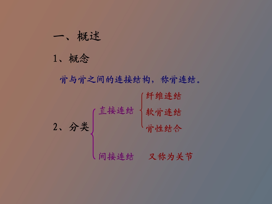 支持与运动-骨连结.ppt_第2页