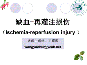 缺血再灌注损伤Ischemiareperfusioninjury课件00002.ppt