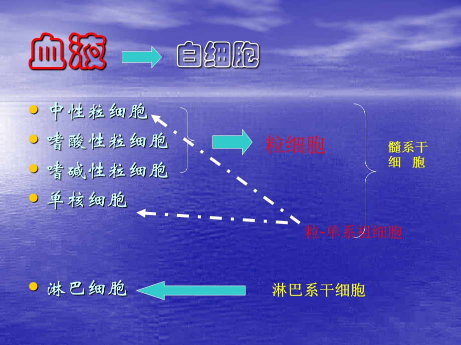 白细胞计数和白细胞分类计数.ppt_第2页