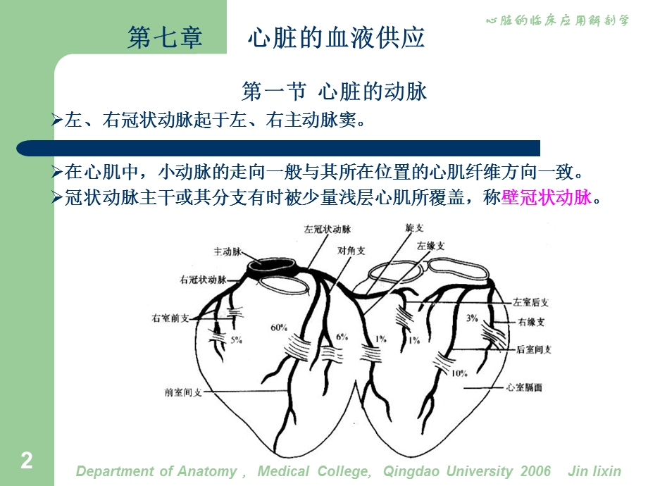 心脏的临床应用解剖7血管.ppt_第2页