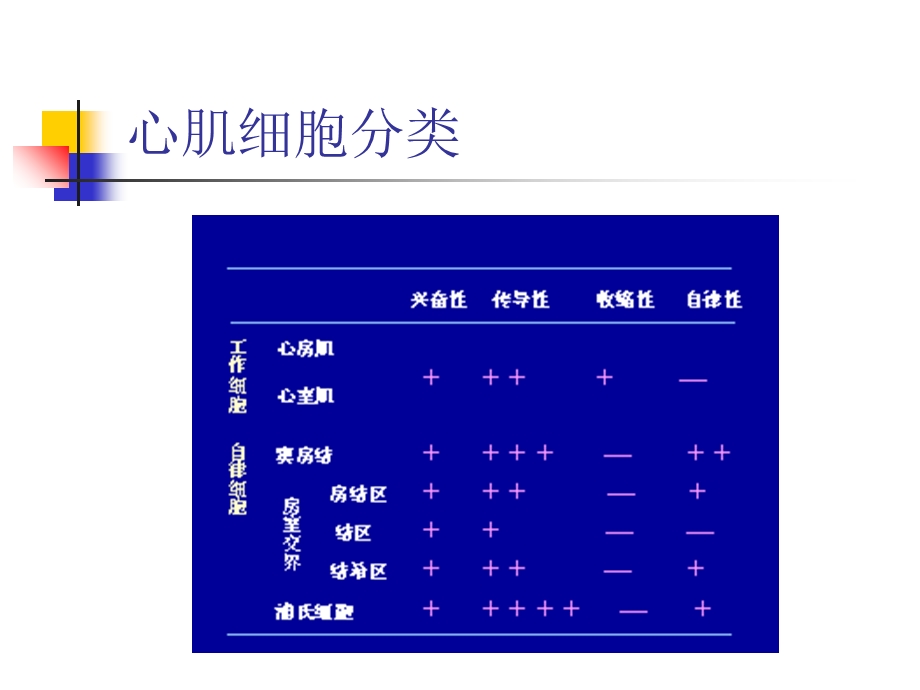 心脏生物电活动.ppt_第3页