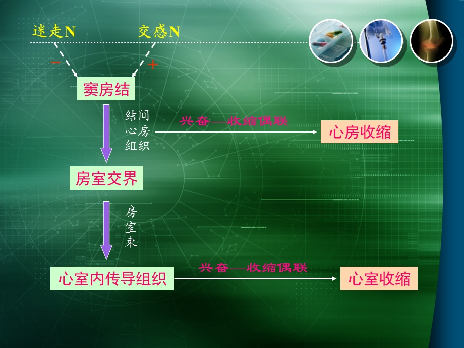 心功能不全-病理生理学.ppt_第3页