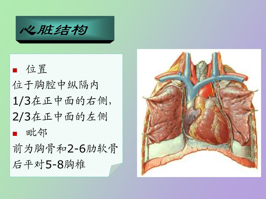 循环系统疾病病人的护理概述.ppt_第3页