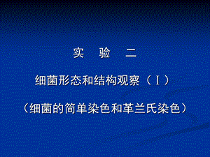 细菌形态结构观察.ppt