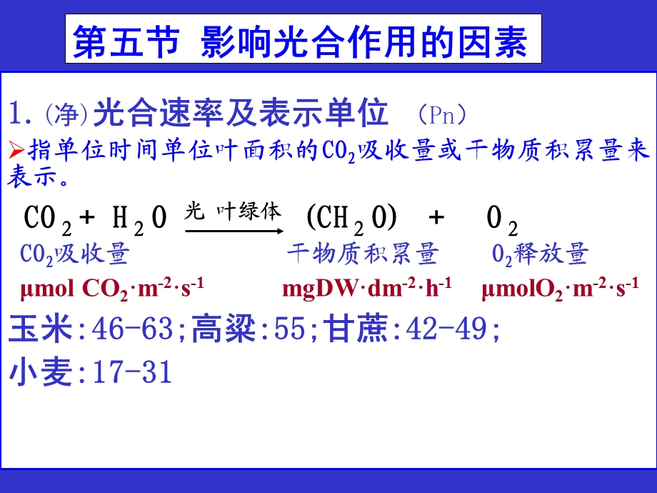 植物的光合作用.ppt_第1页