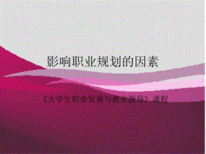 影响职业生涯的因素.ppt