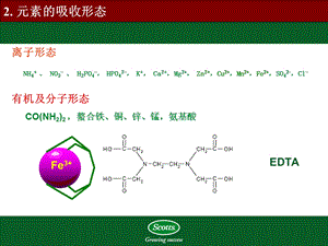 植物对氮磷钾的吸收.ppt