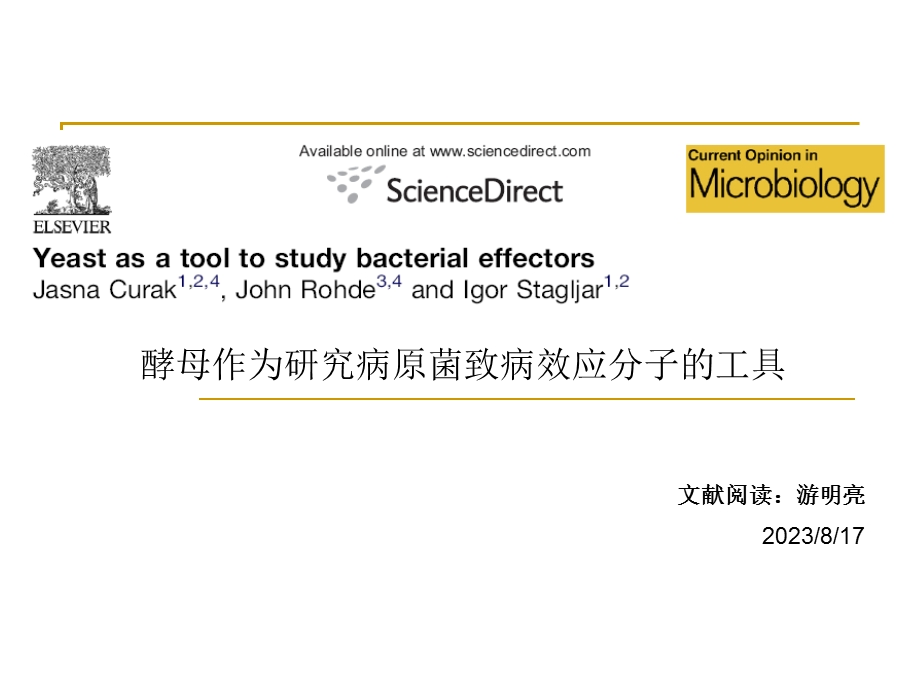 酵母作为研究病原菌致病效应分子的工具.ppt_第1页