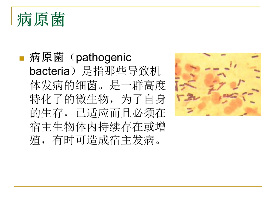 酵母作为研究病原菌致病效应分子的工具.ppt_第2页