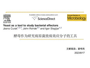 酵母作为研究病原菌致病效应分子的工具.ppt