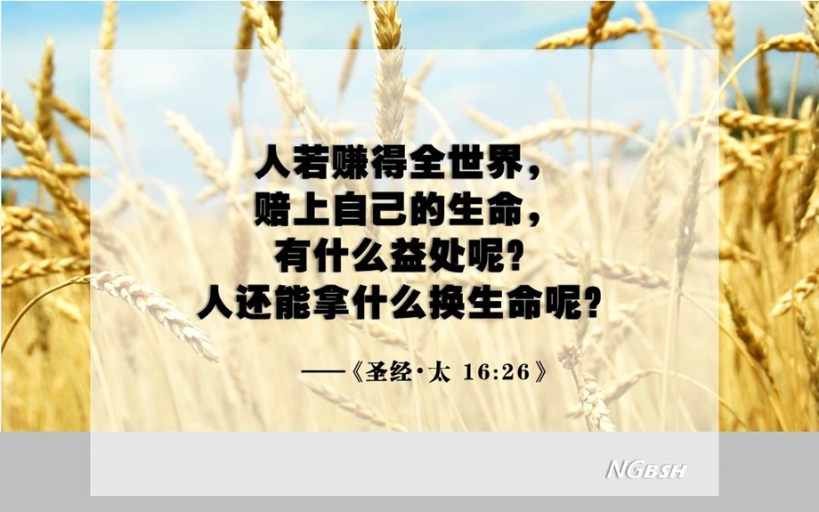 中国人感觉不幸福的个原因南瓜.ppt_第2页