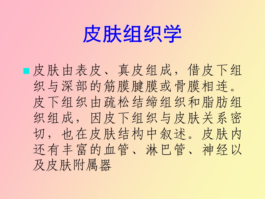 正常皮肤组织学周.ppt_第2页