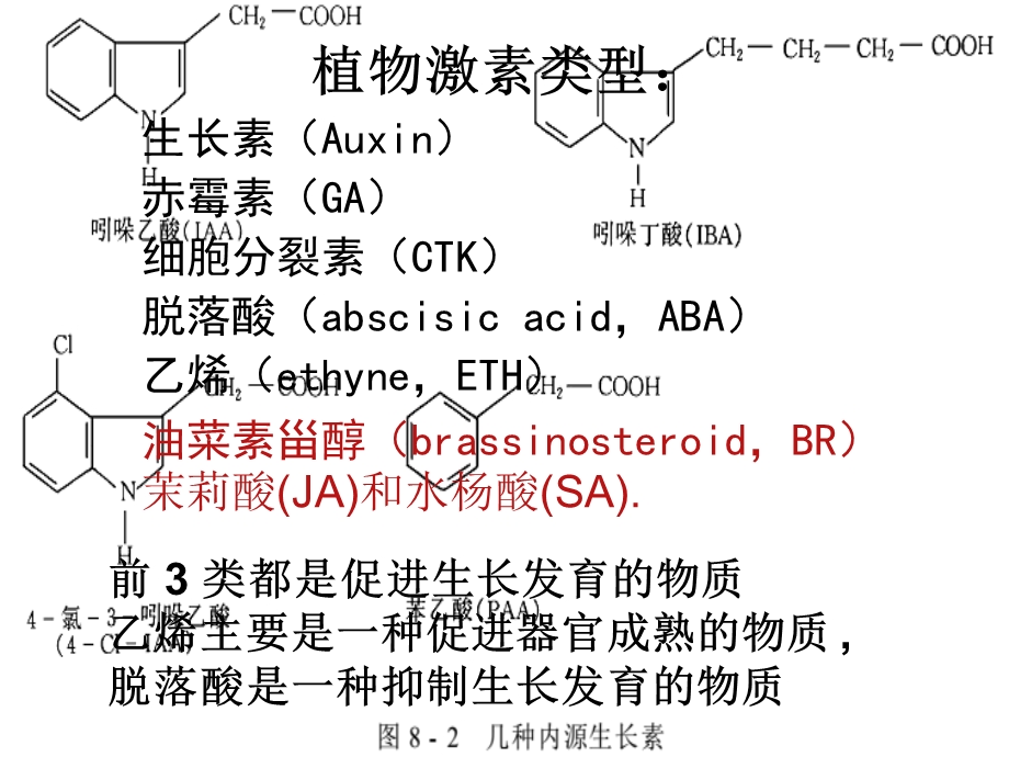 植物激素及其作用机理.ppt_第3页