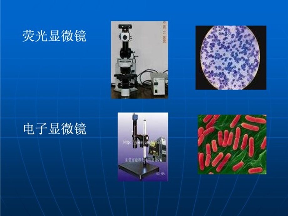 细菌的检查方法.ppt_第3页