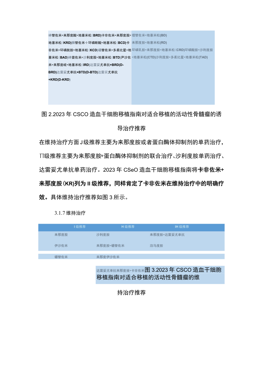 2023年CSCO指南多发性骨髓瘤治疗部分更新解读（全文）.docx_第3页