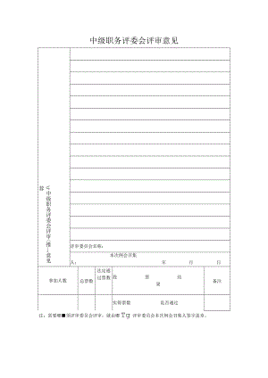 中级职务评委会评审意见表.docx