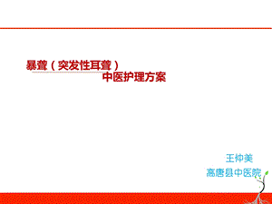 暴聋(突发性耳聋)中医护理方案).ppt