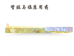 肾脏与临床用药.ppt