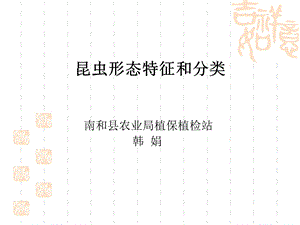 昆虫形态特征和分类.ppt