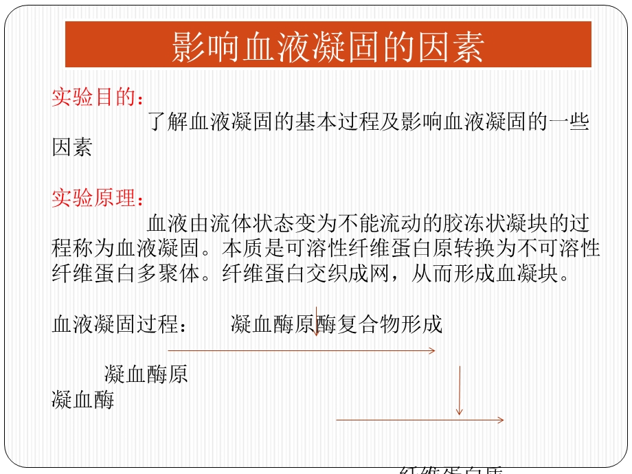 影响血液凝固因素.ppt_第2页